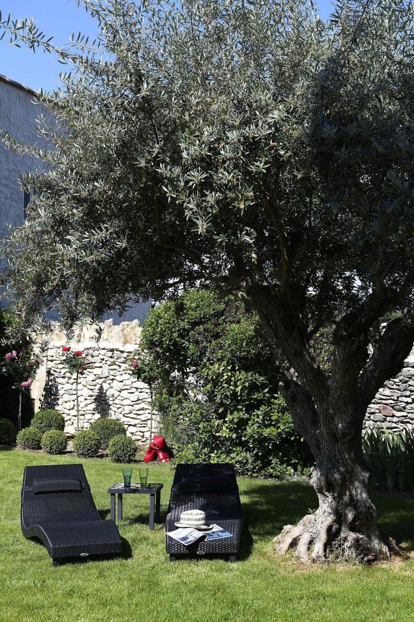 Roussillon en IsereBastide Des Demoiselles住宿加早餐旅馆 外观 照片