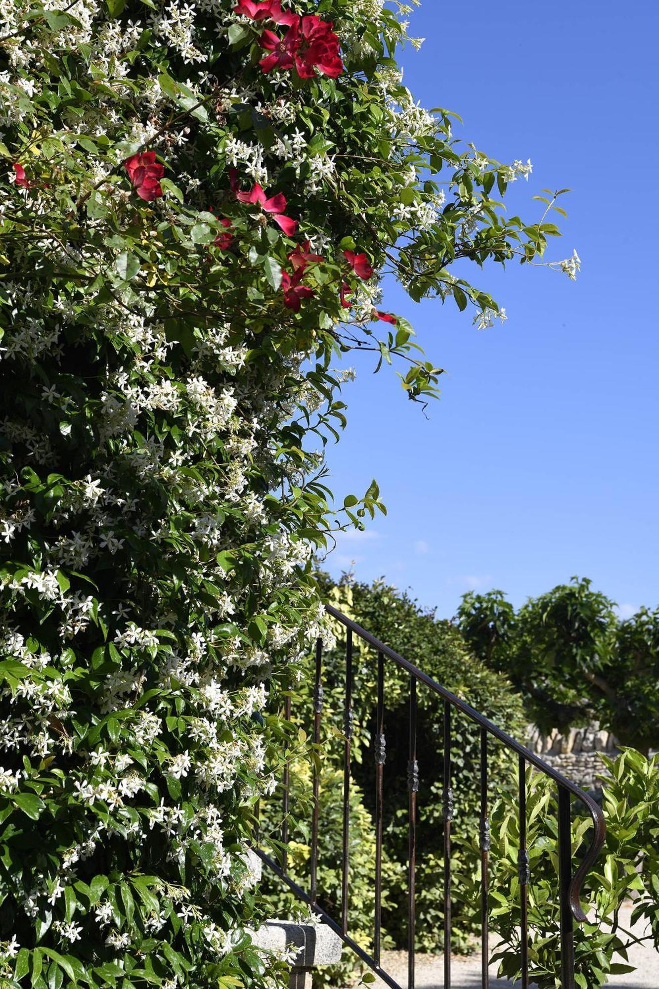 Roussillon en IsereBastide Des Demoiselles住宿加早餐旅馆 外观 照片