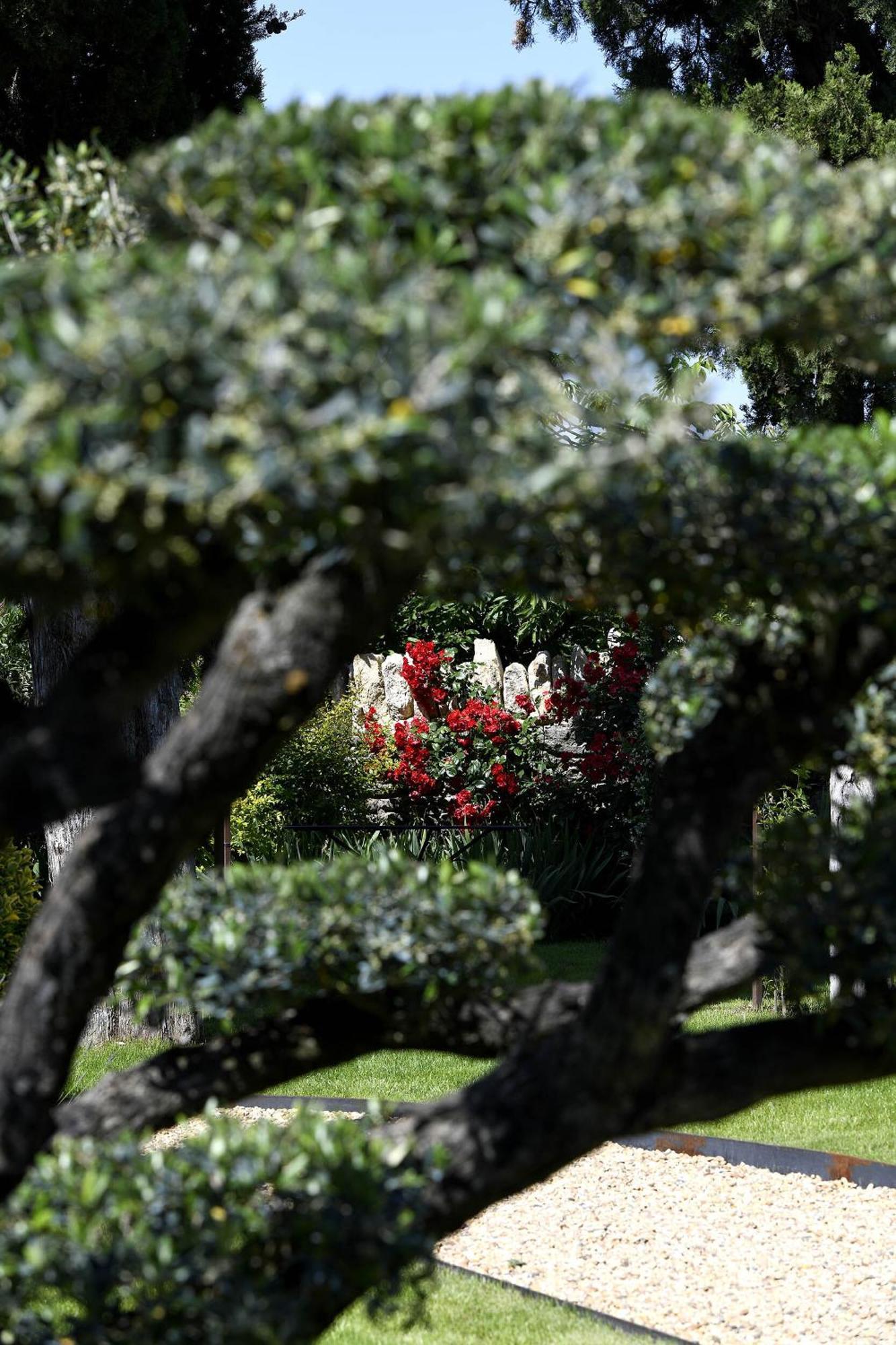 Roussillon en IsereBastide Des Demoiselles住宿加早餐旅馆 外观 照片