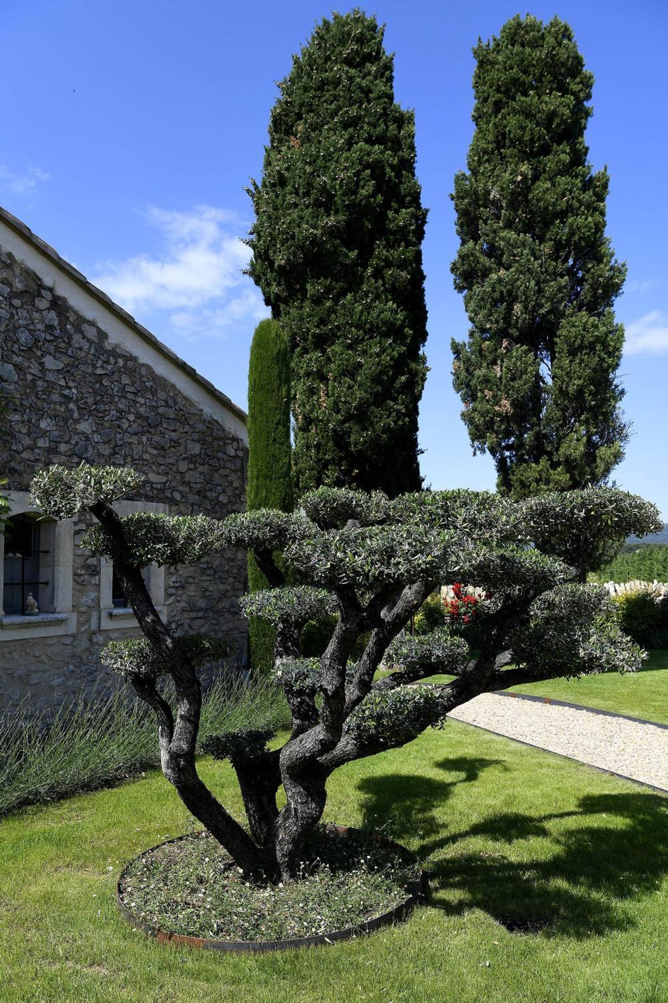 Roussillon en IsereBastide Des Demoiselles住宿加早餐旅馆 外观 照片