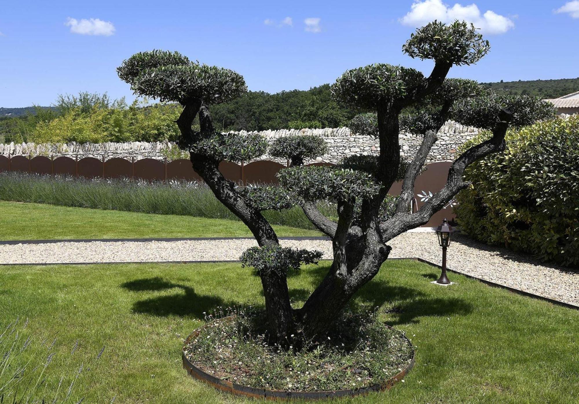 Roussillon en IsereBastide Des Demoiselles住宿加早餐旅馆 外观 照片